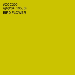 #CCC300 - Bird Flower Color Image